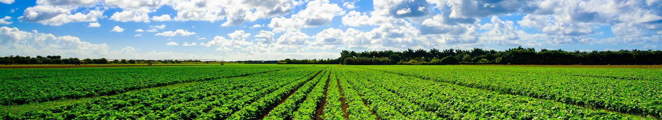 FL-geography-resized