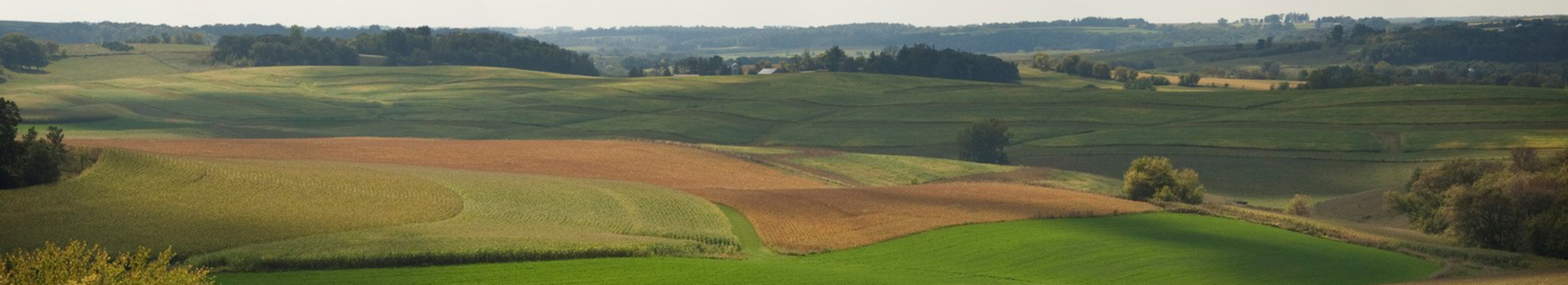 Photo Credit: Minnesota by Mark Godfrey