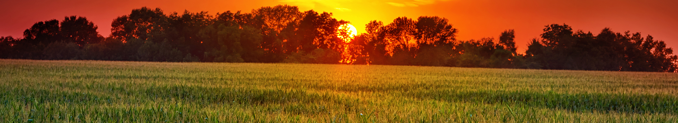 MO-geography-resized