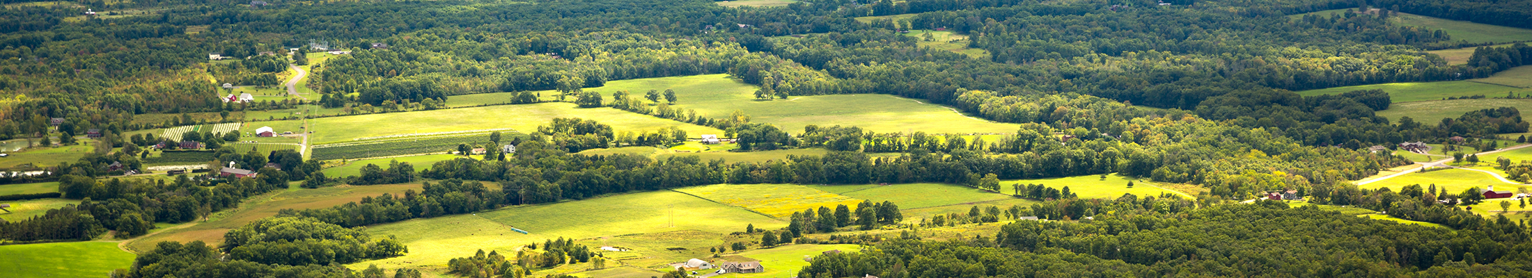 ny-geography-resized